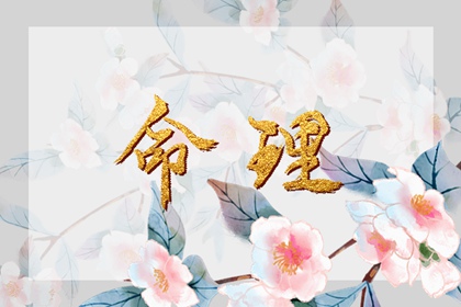 八字求真排盘|万年历称命八字|八字九宫格排盘|易百查四柱排盘|算八字神煞|八字查命