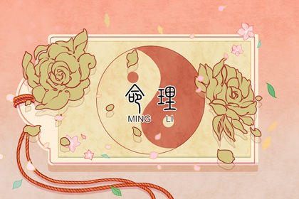 看紫微斗数_紫微算流年运势_八卦命盘查询_紫薇星命盘解读_紫薇排盘免费
